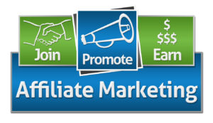 Read more about the article 7 Best Affiliate Marketing Programs to Boost Your Online Income